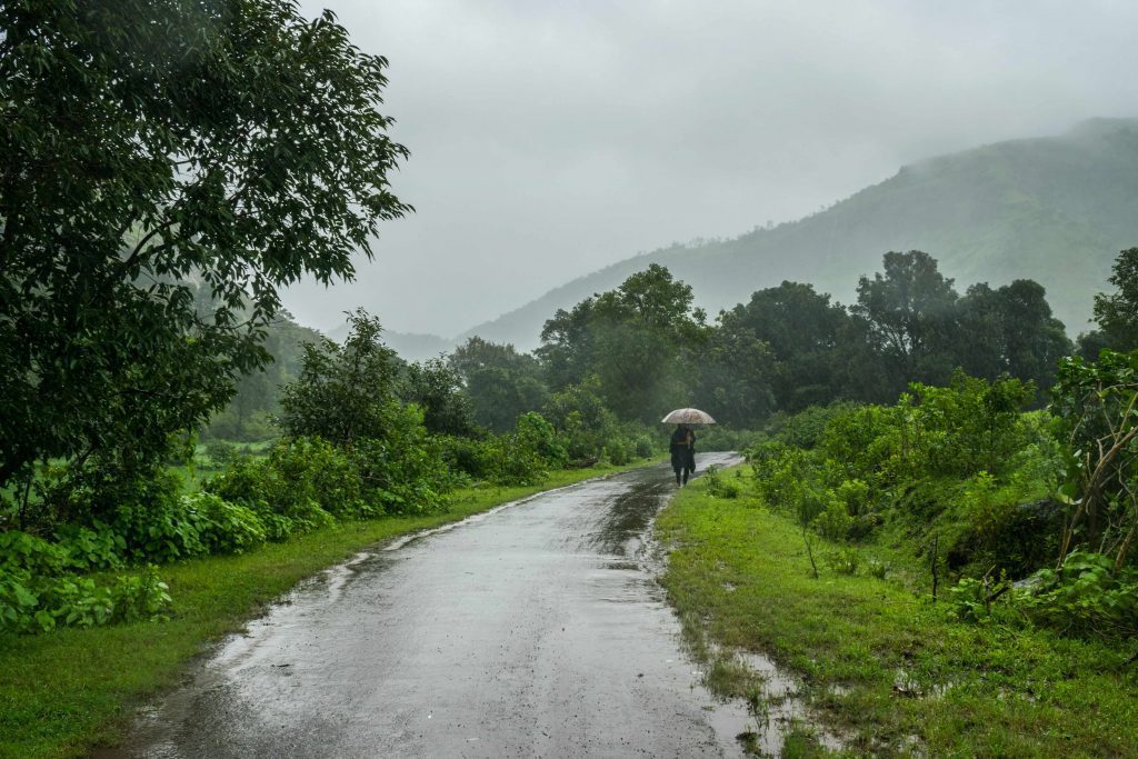 A person walking in the lush greenery of Mawsynram.