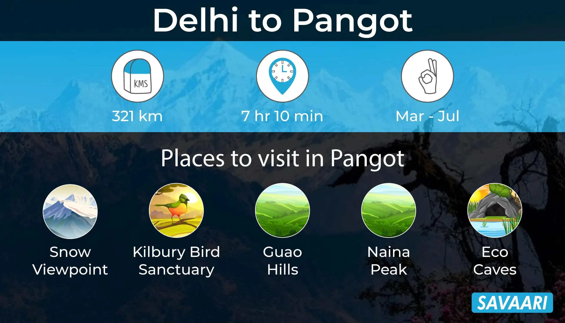 Delhi to Pangot road trip