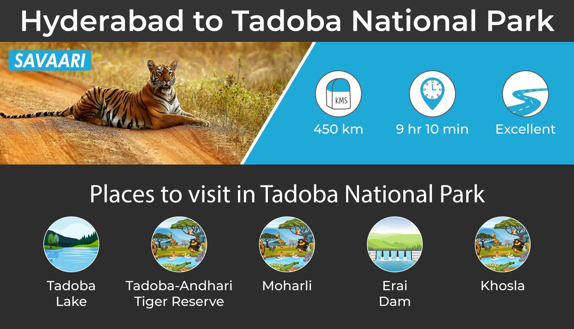 Hyderabad to Tadoba National park by road