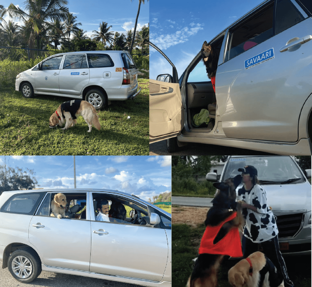 Savaari Car Rentals A Convenient Travel Partner For Your Pets