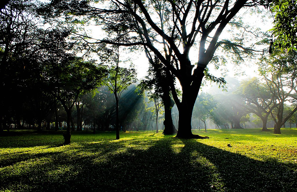 Cubbon Park