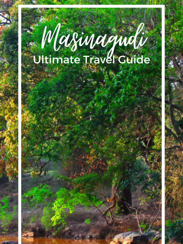 Masinagudi Travel guide