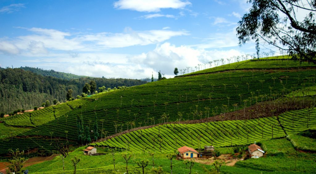 best places to visit in March in India - Coonoor