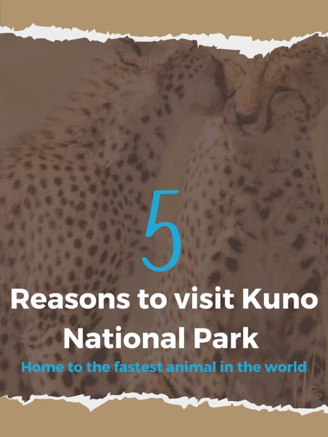 Kuno National Park – Home to Cheetahs in India