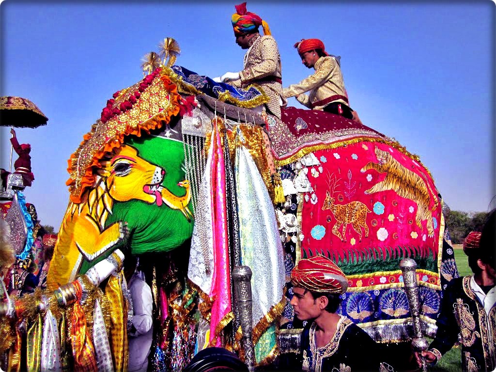 Jaipur elephant festival