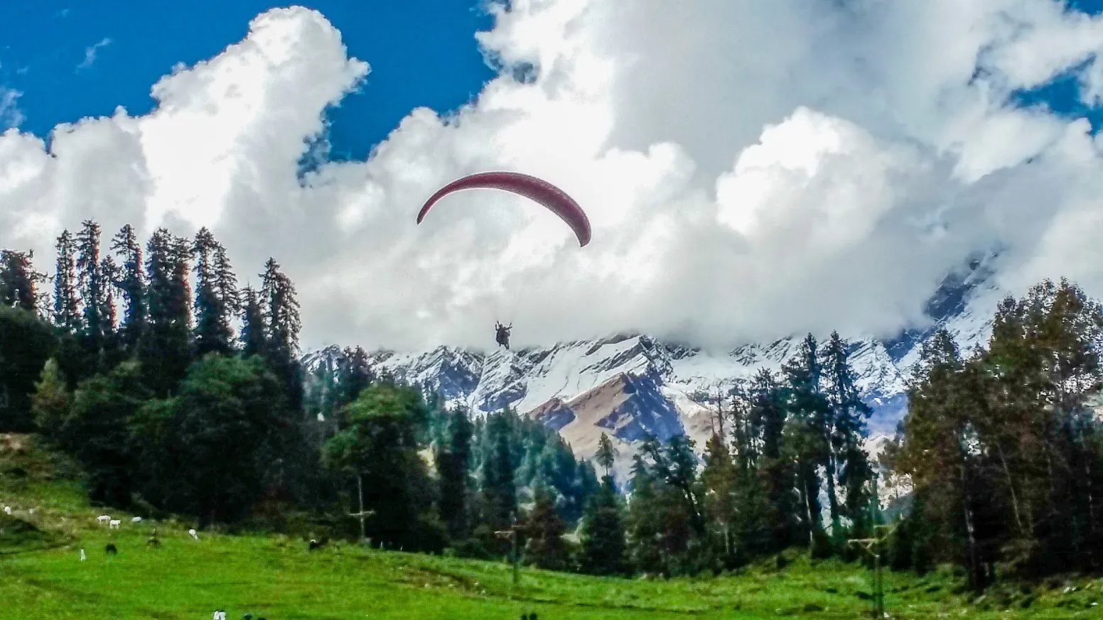 places to paraglide in India