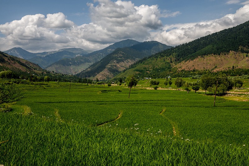 Lolab valley
