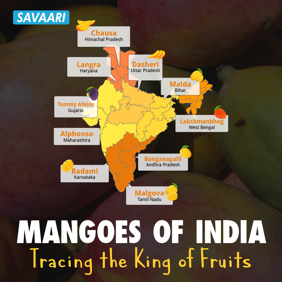Mangoes of India - Tracing the king of fruits