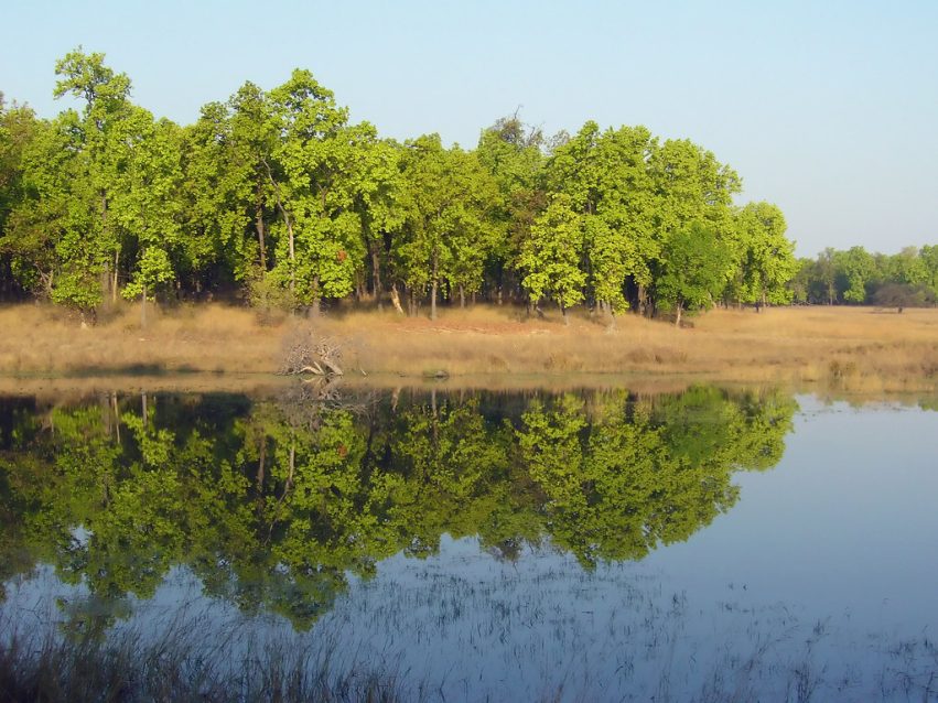 Bandhavgarh National Park 