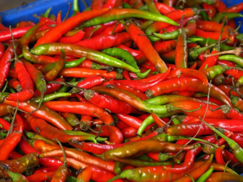 Calling all the chilli fans - Here's the great Indian chilli trail 