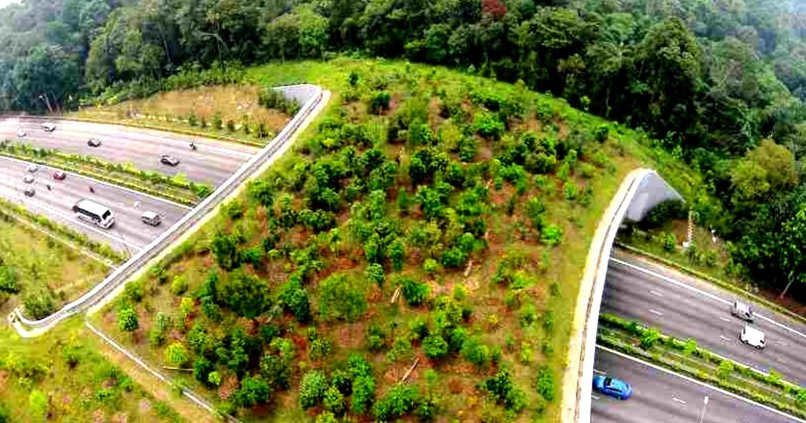 Delhi-Mumbai expressway