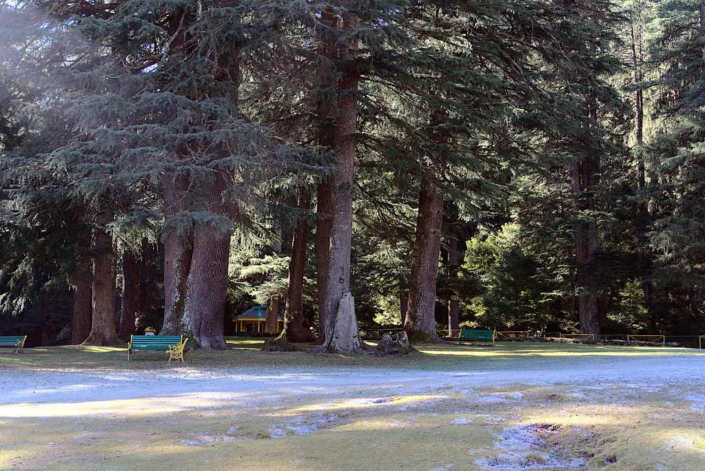 Khajjiar in winter