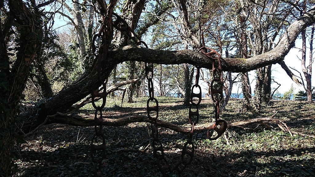 Chain tree
