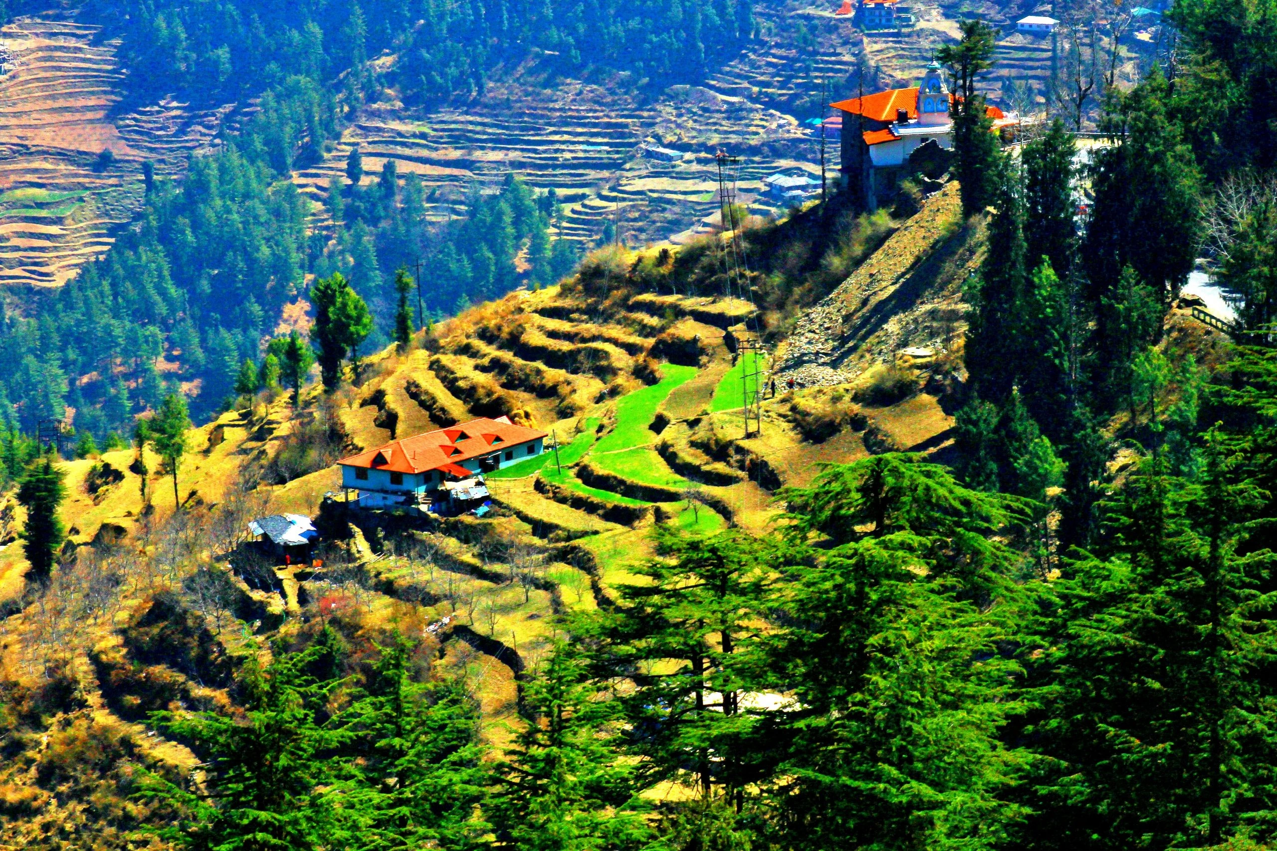 Step farming in Dalhousie