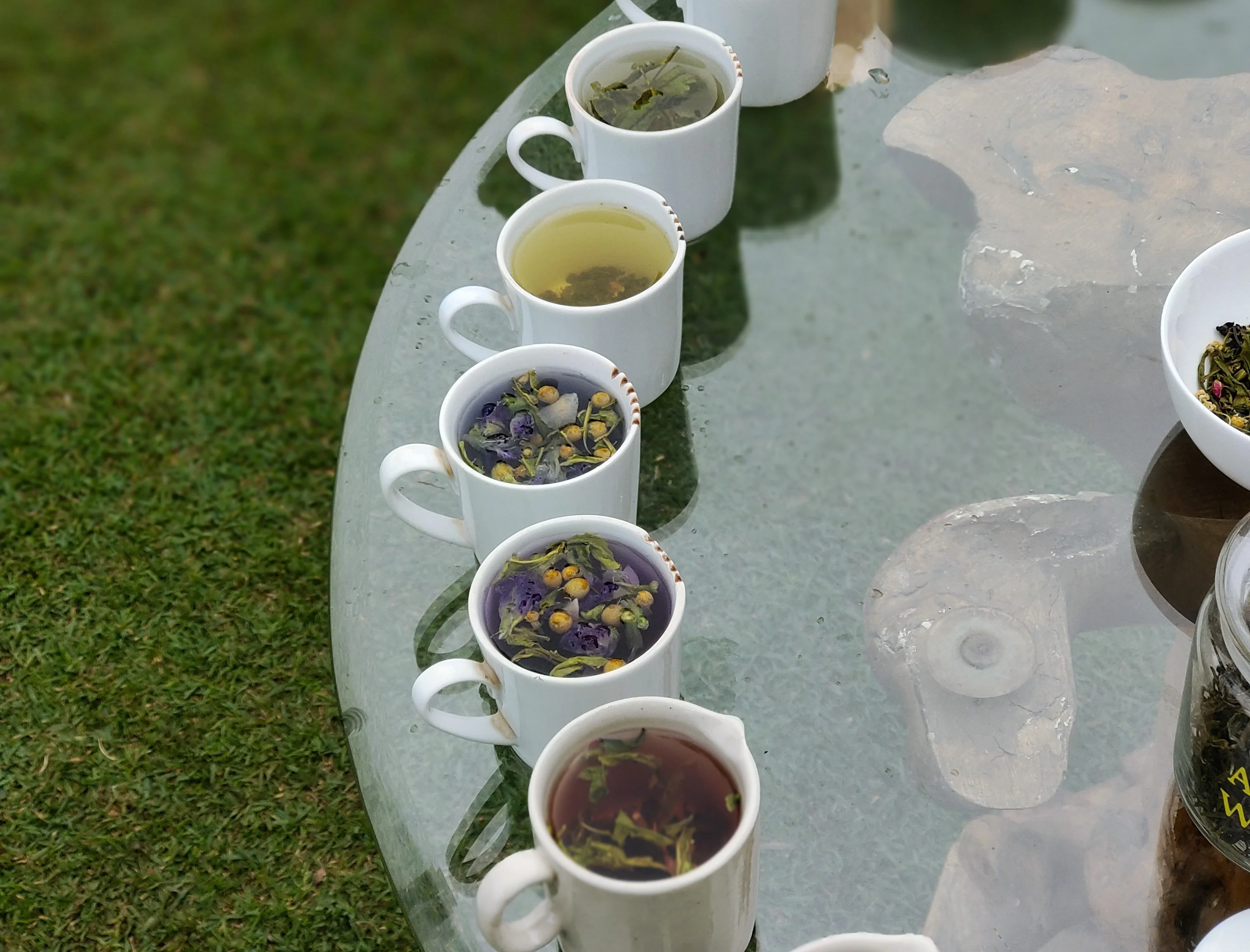 tea tasting in India