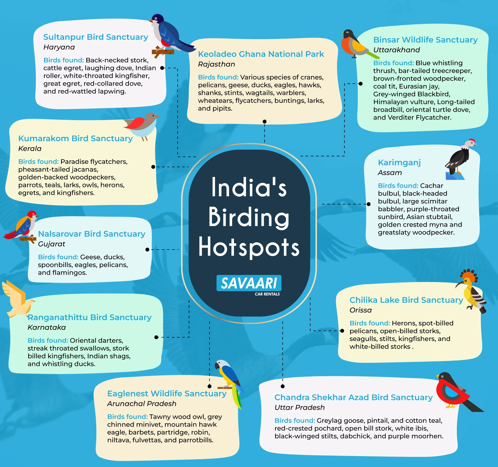 Birdwatching hotspots in India