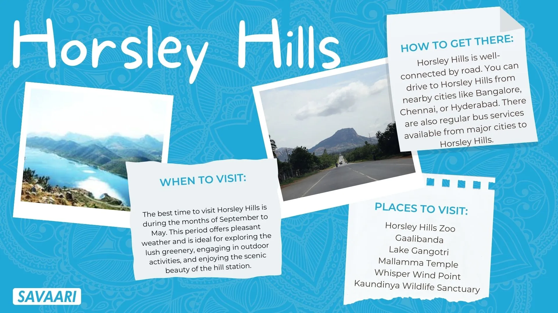 Guide To Horsley Hills That Will Make Your Holiday A Perfect One In 2023