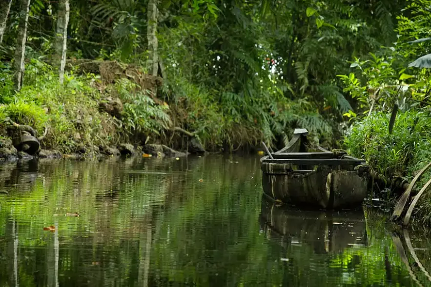 Kumarakom Bird Sanctuary