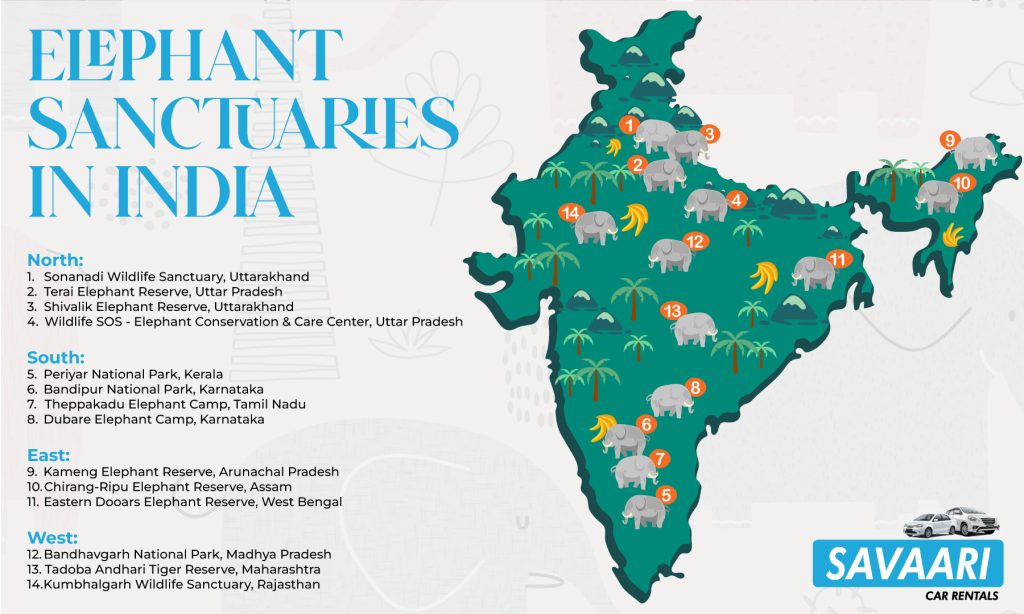 Elephant sanctuaries in India