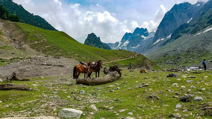 Sonmarg