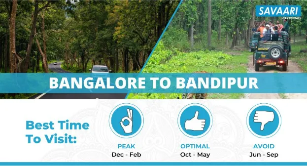 Bangalore to Bandipur
