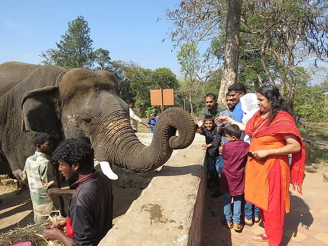 Elephant Sanctuary India