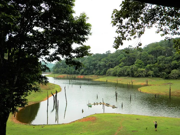 Periyar national park, Kerala