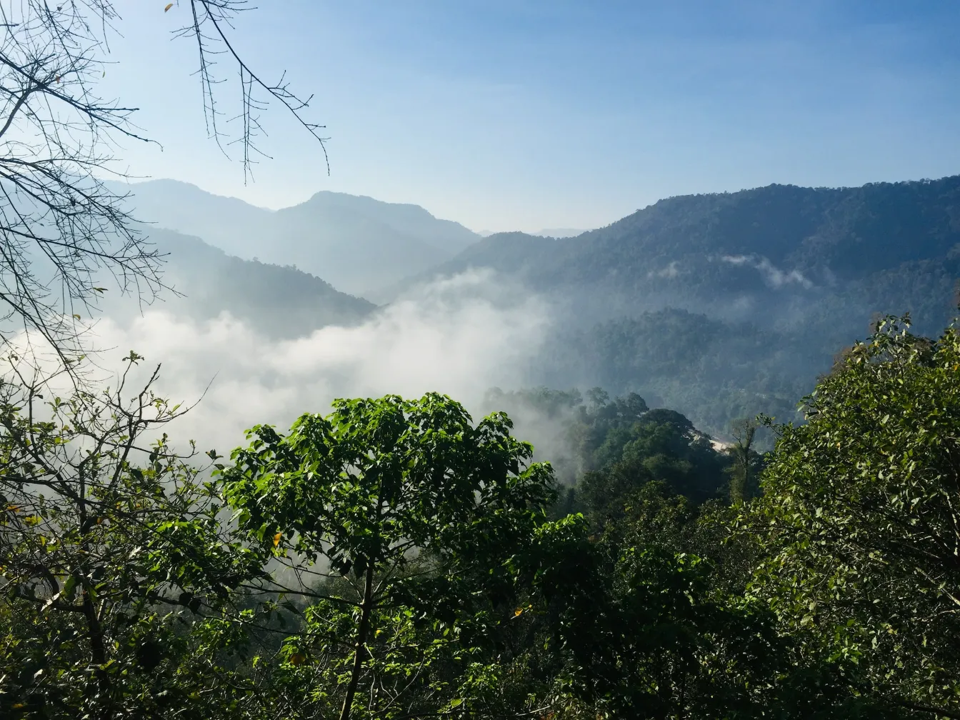 Sabarimala temple views