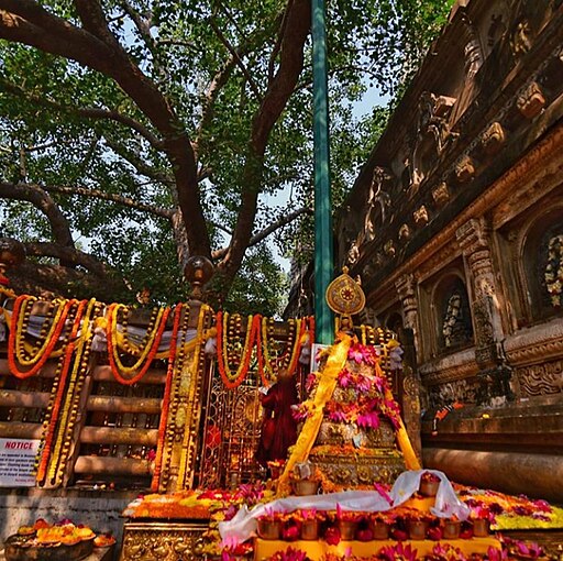Bihar Buddhist circuit - Bodhi Tree