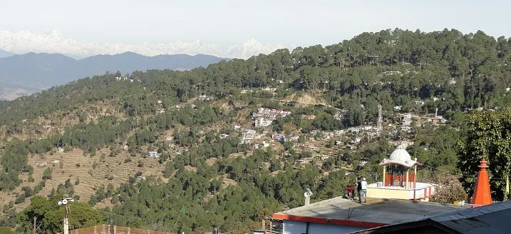 Pizza, Size: Medium at best price in Ranikhet