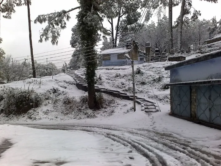Snowfall in Ranikhet