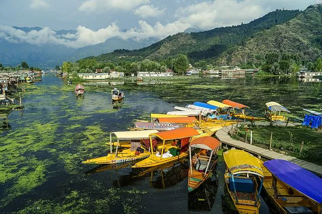 Dal Lake, Srinagar