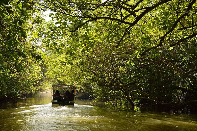 Poovar backwaters