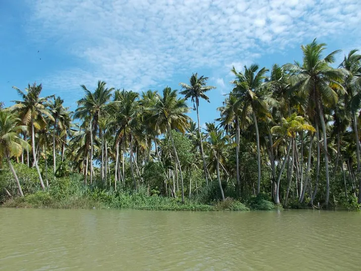 Backwaters of Kerala