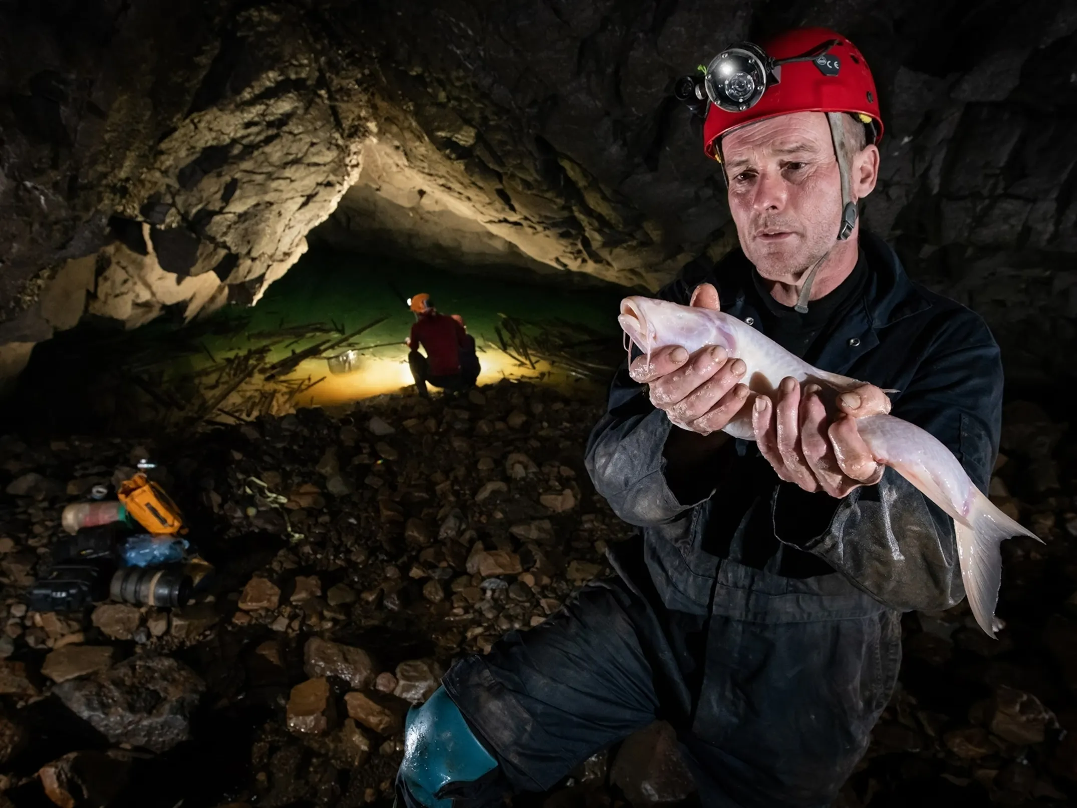 World's largest cave fish in Meghalaya