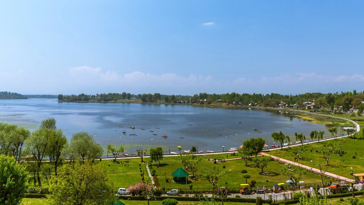 Manasbal Lake - Birdwatching