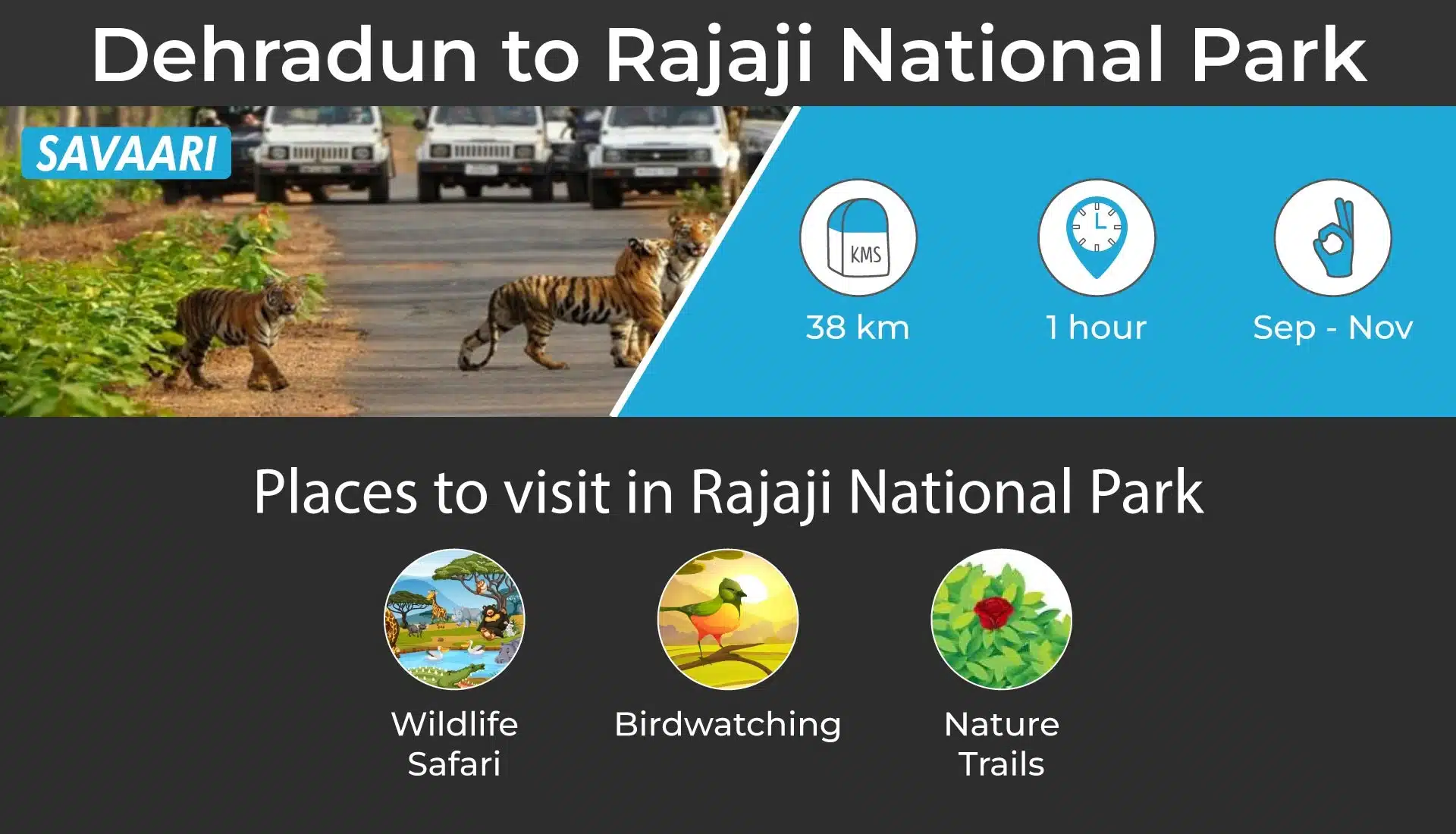 Dehradun to Rajaji National Park