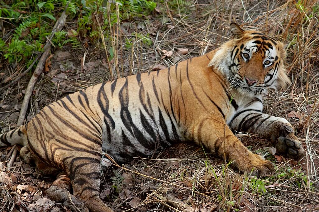 tourism in srisailam