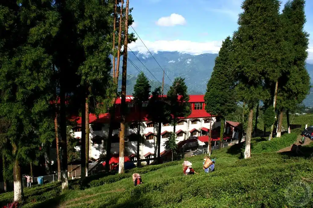 tourist places in darjeeling town