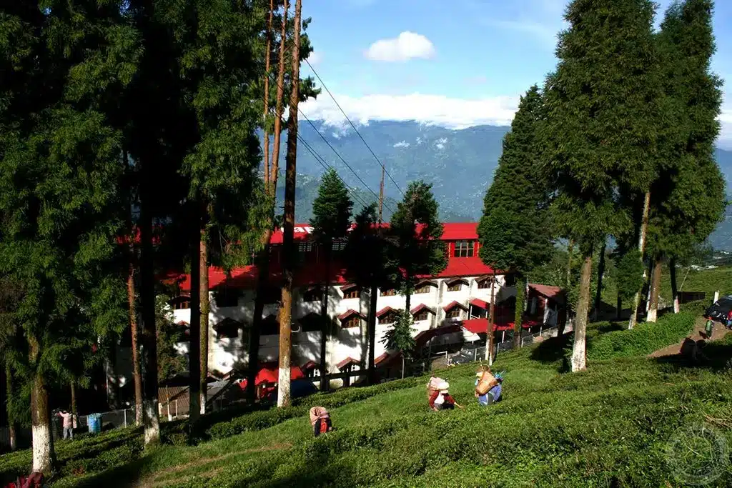 darjeeling near by places to visit