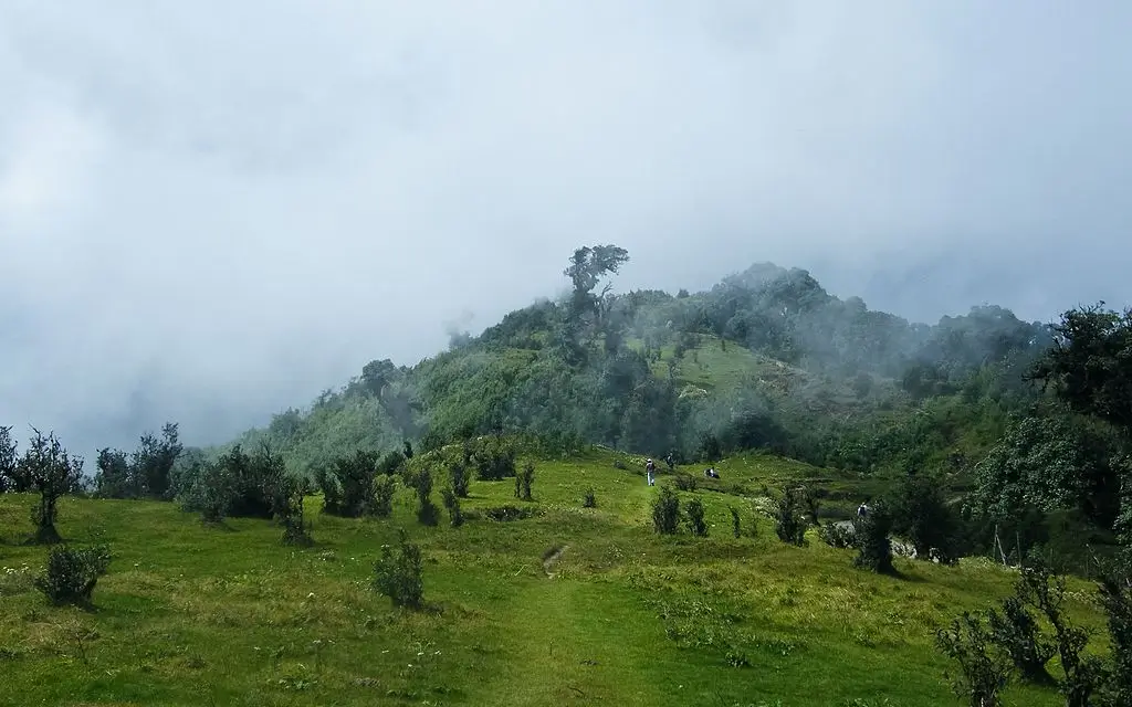 how to tour darjeeling