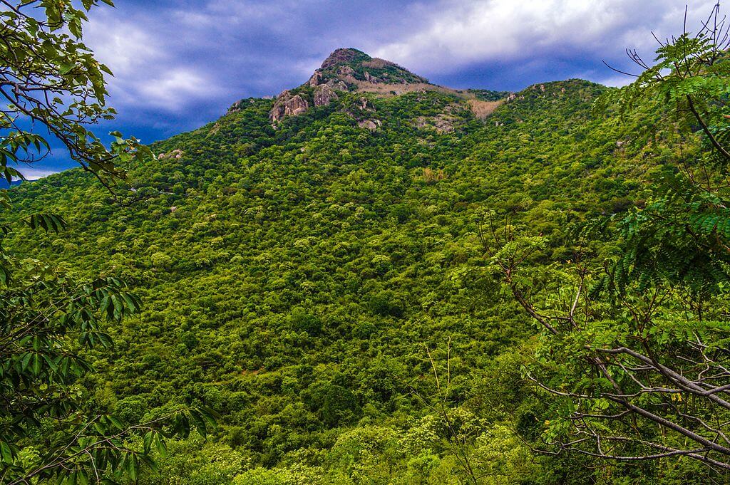 yercaud night travel