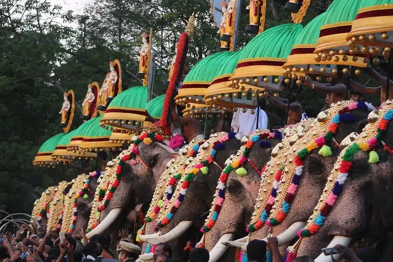 Thrissur Pooram elephants