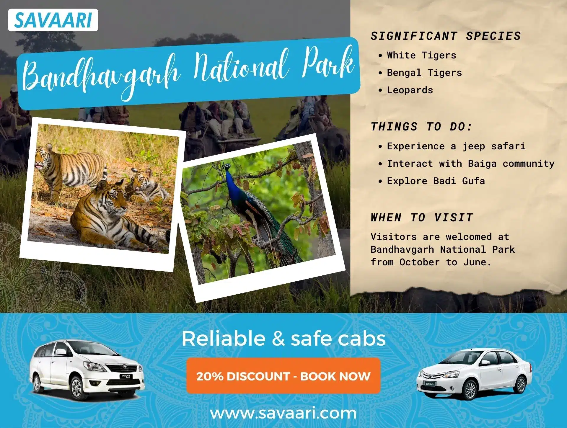 Things to do in Bandhavgarh National Park