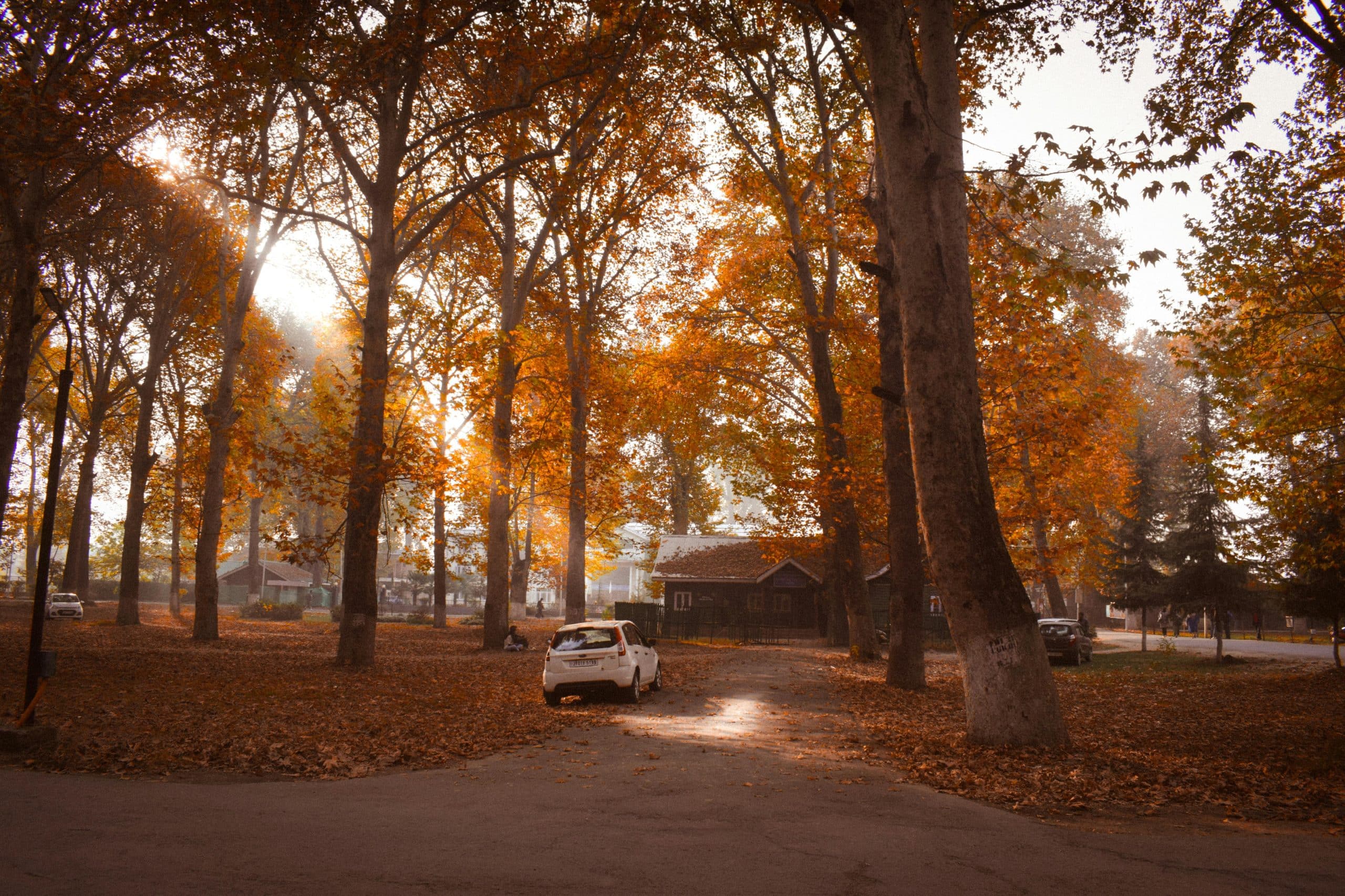 Best Places to Visit in Autumn: Explore 12 Scenic Routes with Savaari