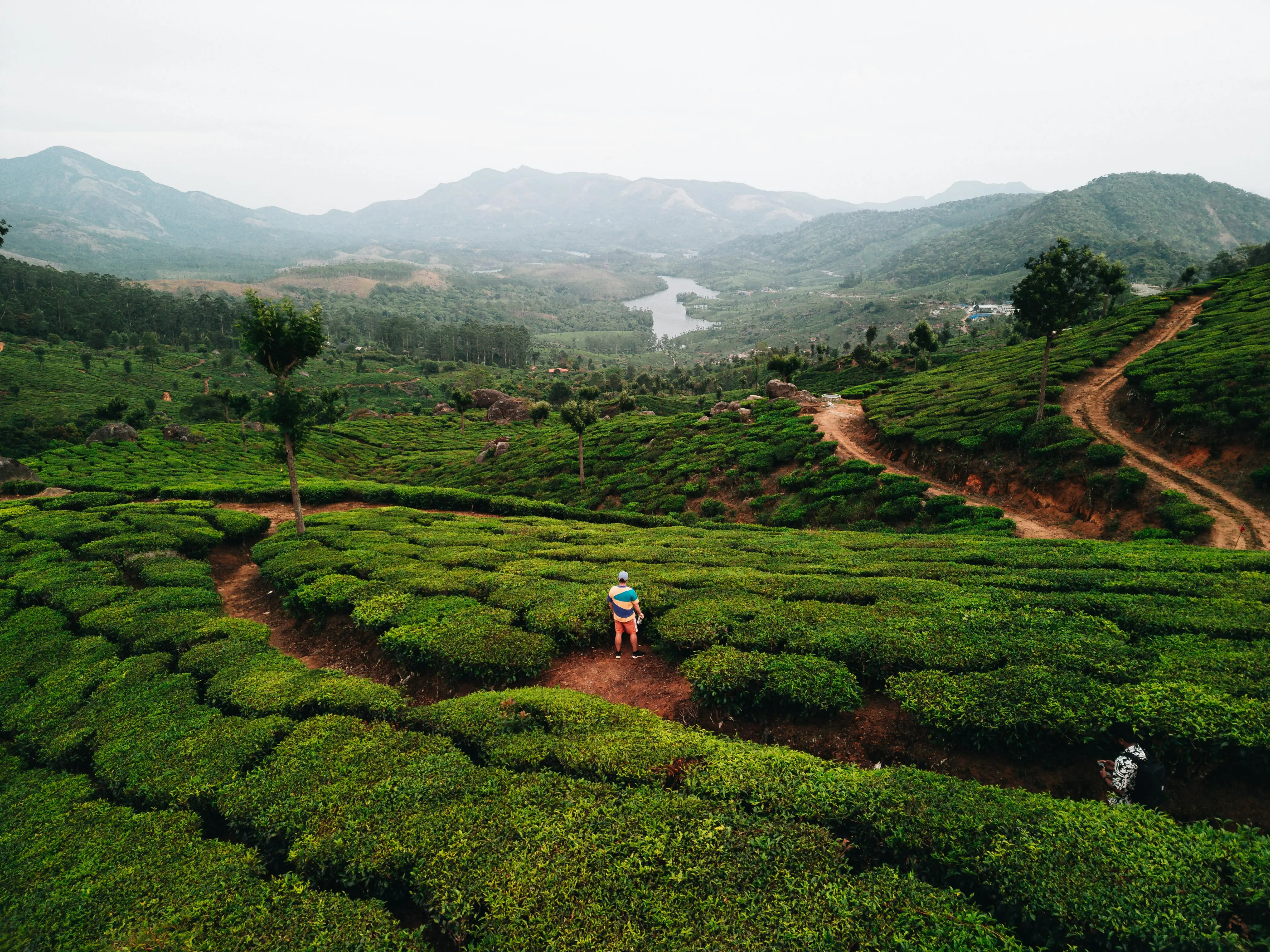 Munnar in Kerala - Best autumn getaway