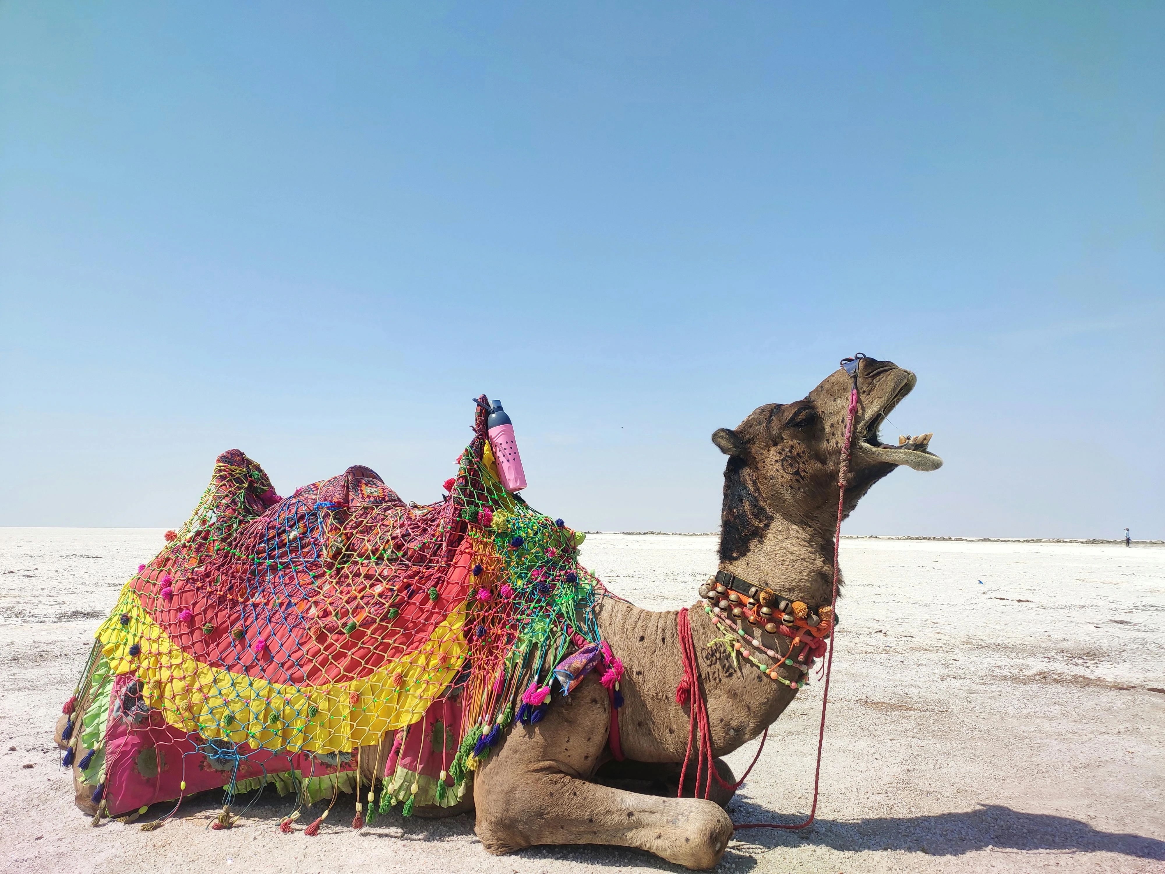 Rann og Kutch, Gujarat - Long weekend getaway
